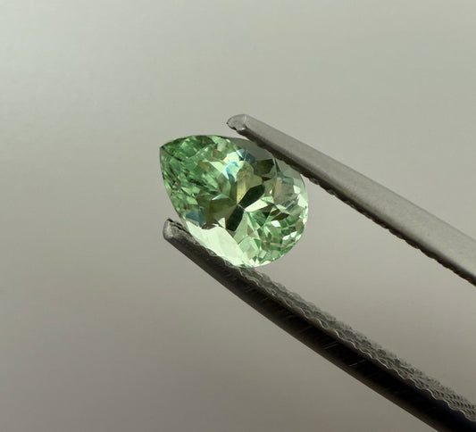 PG-263-6-1 Merelani Mint Garnet 5.1 x 7 MM Pear 1.01cts