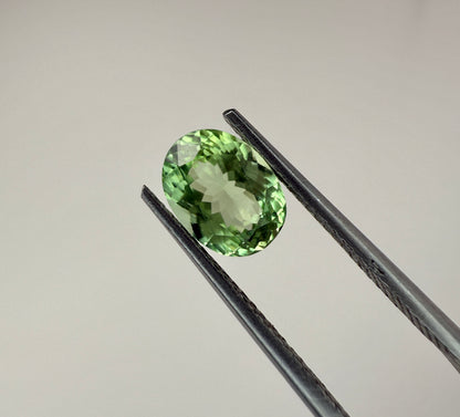 PG10-15-5 Tourmaline 6.2 x 8.3 MM Oval 1.56cts