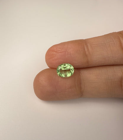 PG10-15-5 Tourmaline 6.2 x 8.3 MM Oval 1.56cts