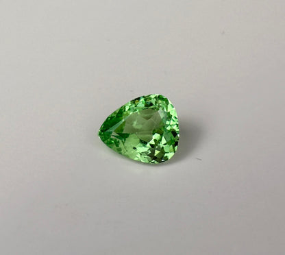 PG-124-53-1 Merelani Mint Garnet 7.1 x 8.8 MM Pear 1.55cts