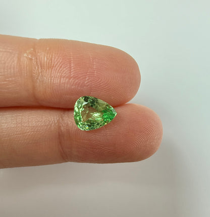 PG-124-53-1 Merelani Mint Garnet 7.1 x 8.8 MM Pear 1.55cts