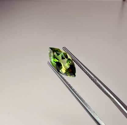 PG-15-71 Tourmaline 5.5 x 11 MM Marquise 1.31cts