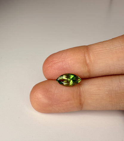 PG-15-71 Tourmaline 5.5 x 11 MM Marquise 1.31cts