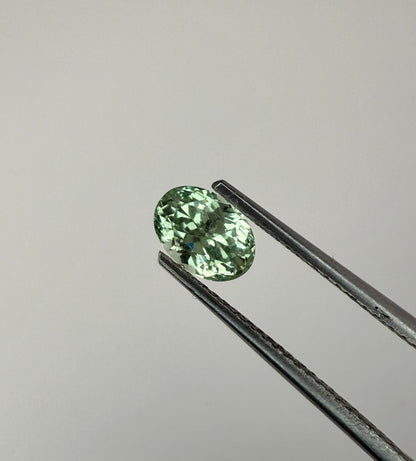 PG-172-12-2 Merelani Mint Garnet 4.8 x 6.8 MM Oval 1.0cts