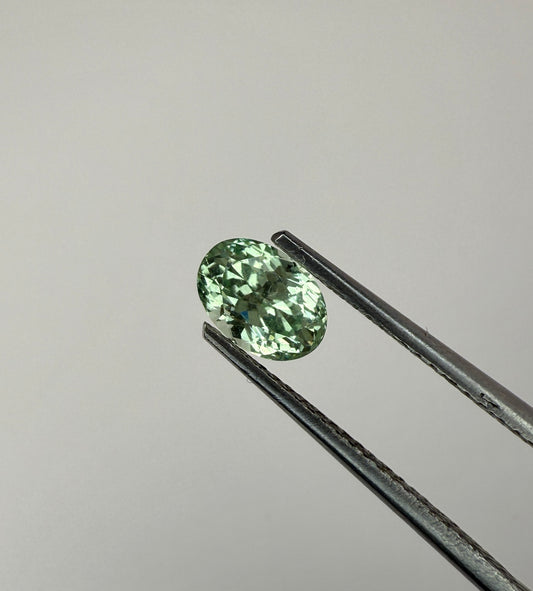 PG-172-12-2 Merelani Mint Garnet 4.8 x 6.8 MM Oval 1.0cts