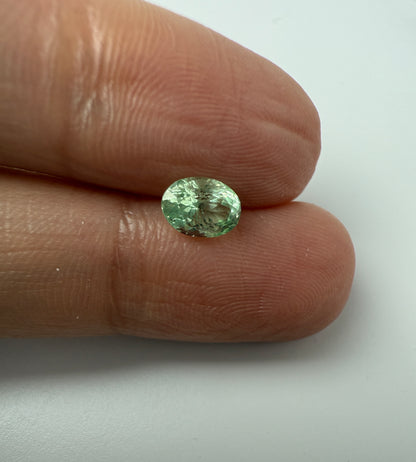 PG-172-12-2 Merelani Mint Garnet 4.8 x 6.8 MM Oval 1.0cts