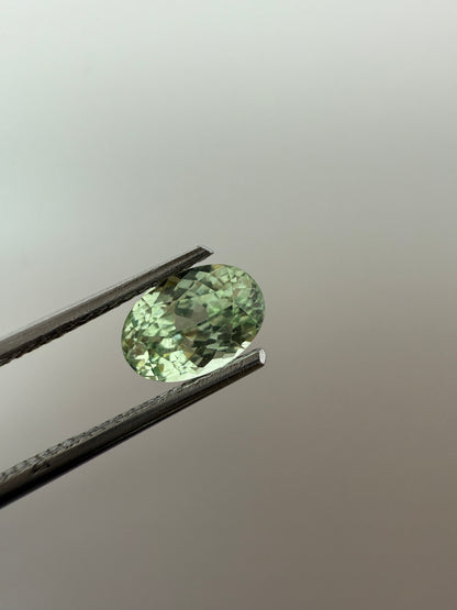 PG-204-21 Merelani Mint Garnet 5.1 x 7.4 MM Oval 1.24cts