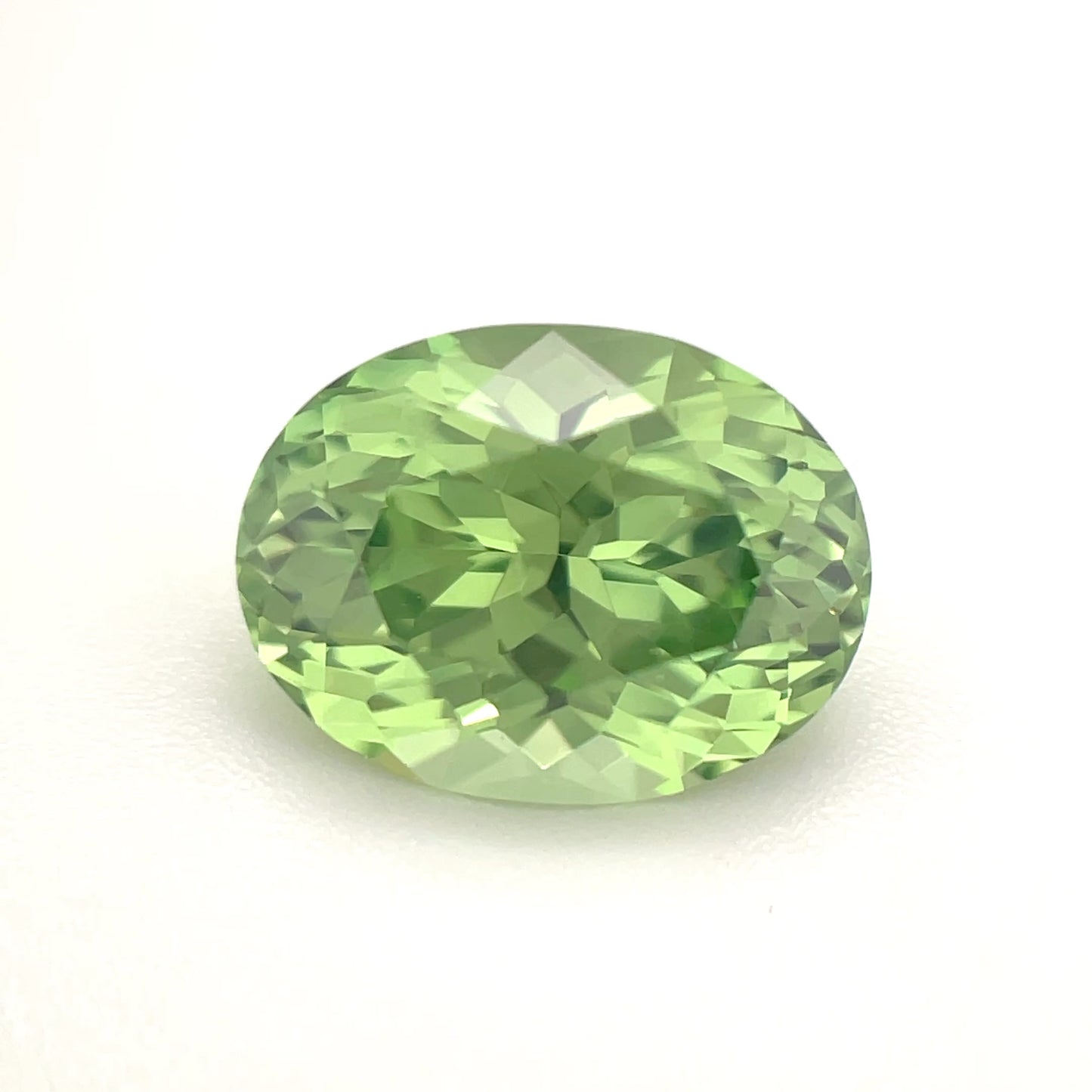 PG-24-7 Merelani Mint Garnet 8.7 x 10.2 MM Oval