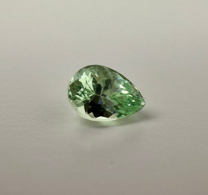 PG-263-6-1 Merelani Mint Garnet 5.1 x 7 MM Pear 1.01cts