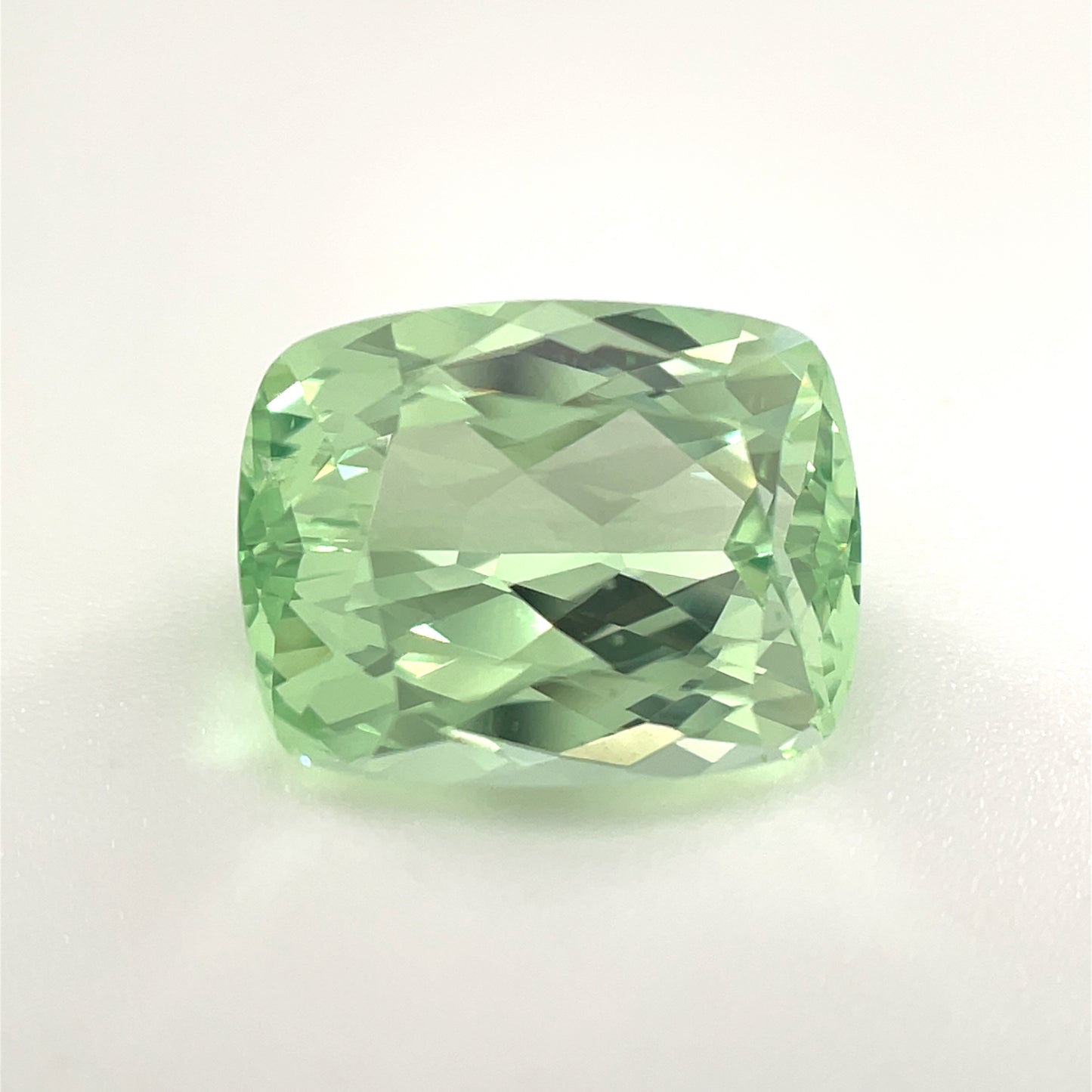 PG-274-20-1 Merelani Mint Garnet 8.2 x 10.5 MM Cushion