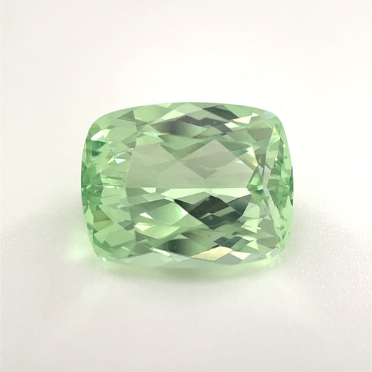 PG-274-20-1 Merelani Mint Garnet 8.2 x 10.5 MM Cushion