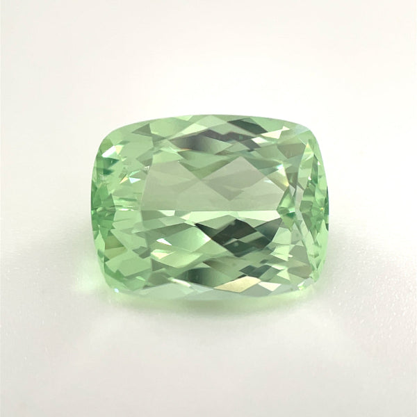 PG-274-20-1 Merelani Mint Garnet 8.2 x 10.5 MM Cushion
