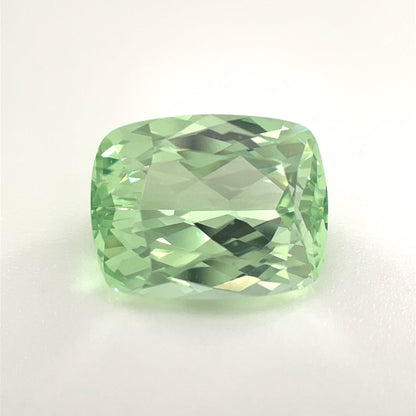 PG-274-20-1 Merelani Mint Garnet 8.2 x 10.5 MM Cushion