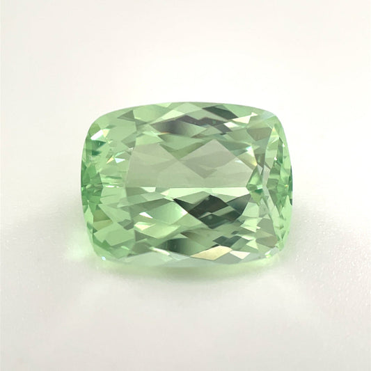 PG-274-20-1 Merelani Mint Garnet 8.2 x 10.5 MM Cushion
