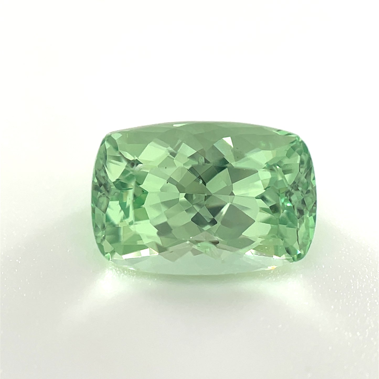 PG-274-8-1 Merelani Mint Garnet 6.5 x 9.5 MM Cushion