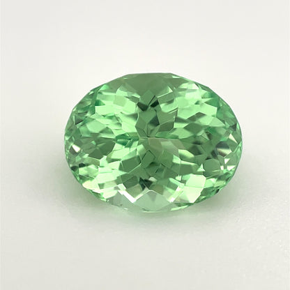 PG-282-4-1 Merelani Mint Garnet 7.5 x 9.5 MM Oval