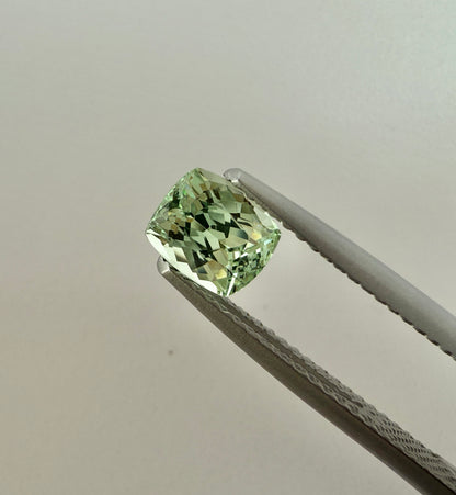 PG-294-5-3 Merelani Mint Garnet 4.9 x 5.9 MM Cushion 1.02cts