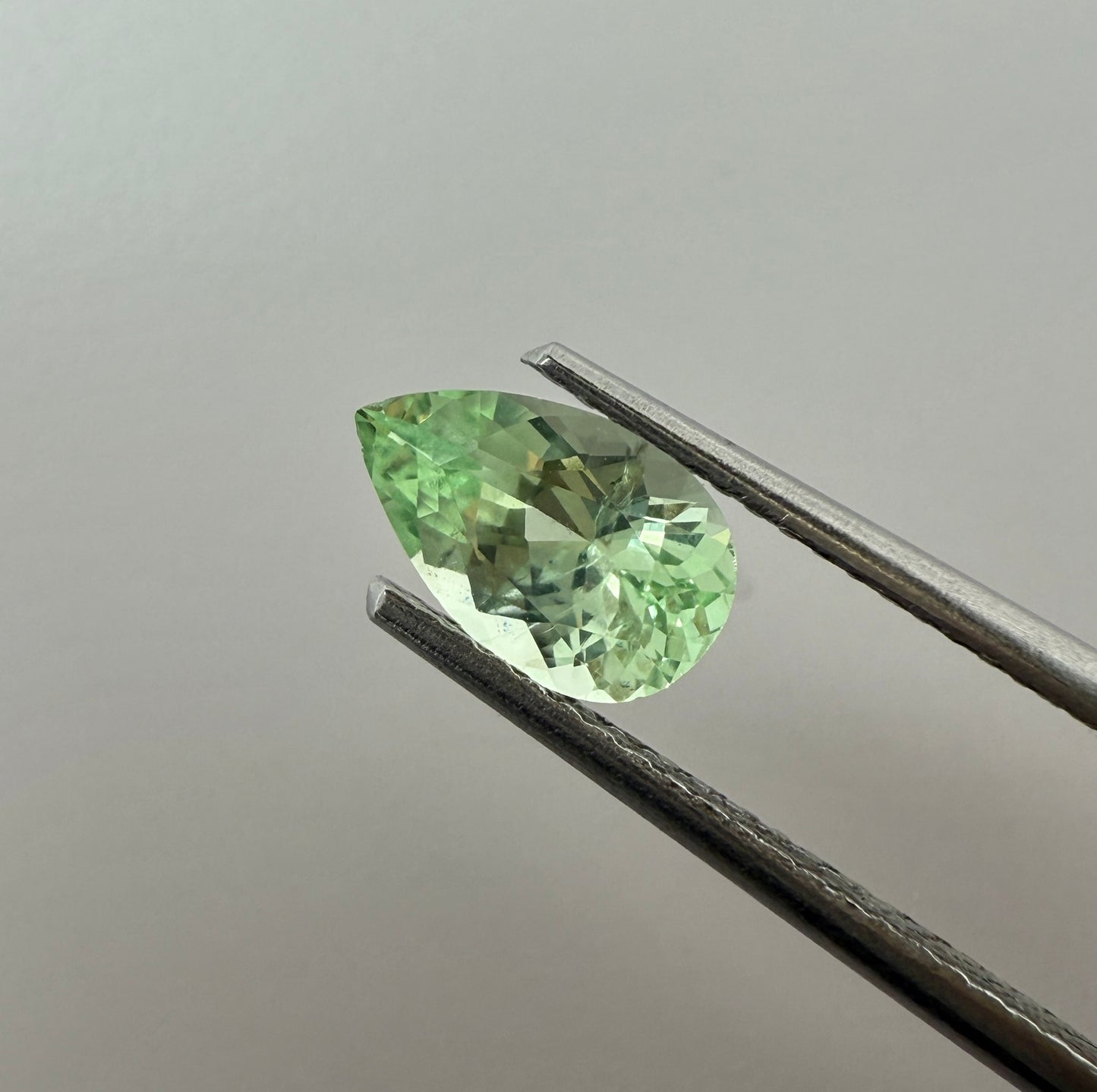 PG-302-1-1 Merelani Mint Garnet 5.1 x 8.1 MM Pear 1.01cts