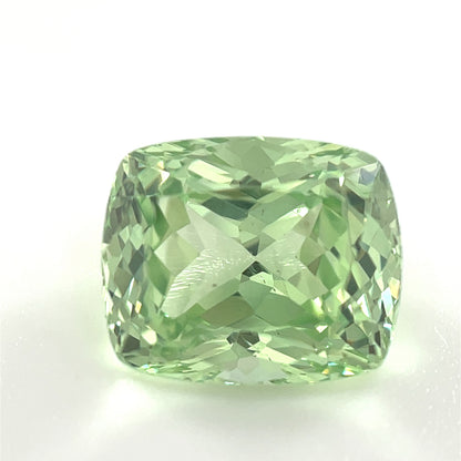 PG-311-10-1 Merelani Mint Garnet 7.3 x 8.8 MM Cushion