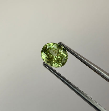 PG-311-61-1 Merelani Mint Garnet 5.6 x 6.6 MM Oval 1.1cts