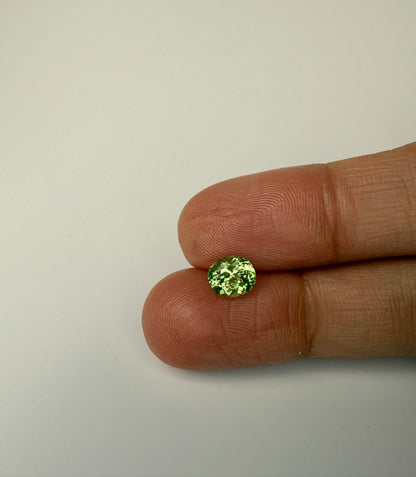 PG-311-61-1 Merelani Mint Garnet 5.6 x 6.6 MM Oval 1.1cts
