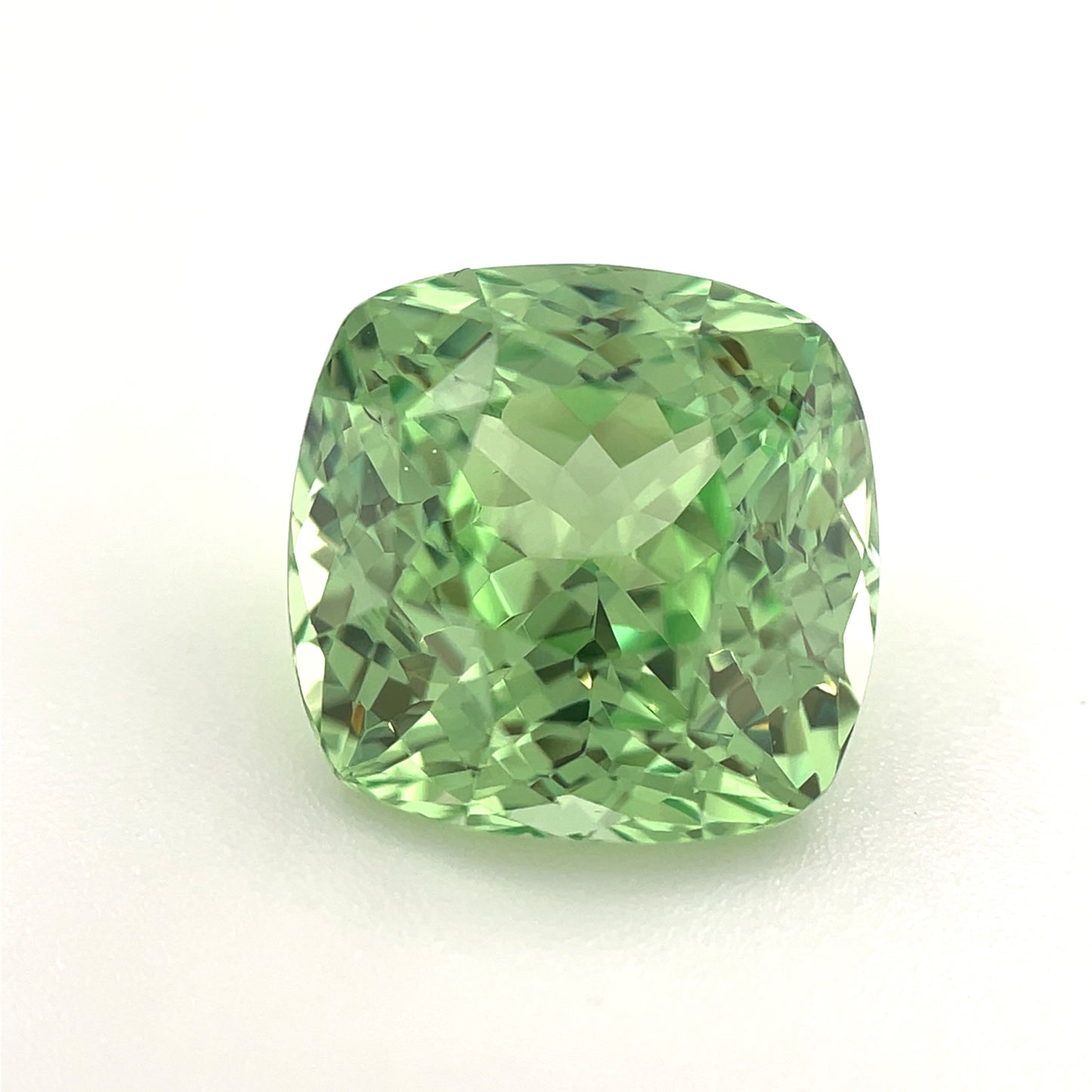 PG-313-137 Merelani Mint Garnet 10 x 10.2 MM Cushion