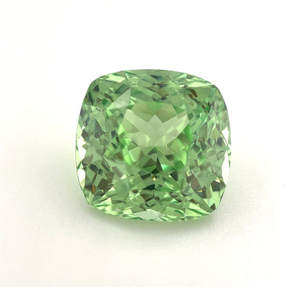 PG-313-137 Merelani Mint Garnet 10 x 10.2 MM Cushion