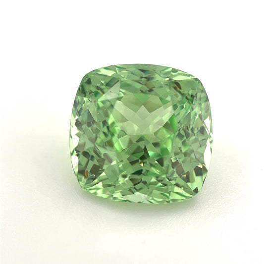 PG-313-137 Merelani Mint Garnet 10 x 10.2 MM Cushion