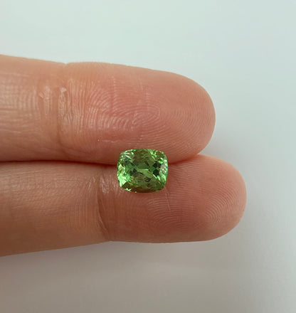 PG-316-27-1 Tsavorite 6.1 x 7 MM Cushion 1.67cts