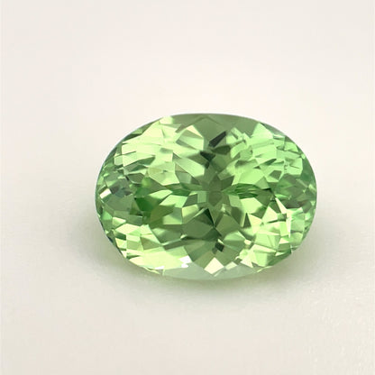 PG-319-2-27 Merelani Mint Garnet 7.1 x 9.4 MM Oval