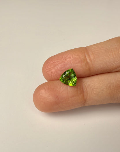 PG-73-10-MW Tourmaline 7.9 MM Trilliant 1.56cts