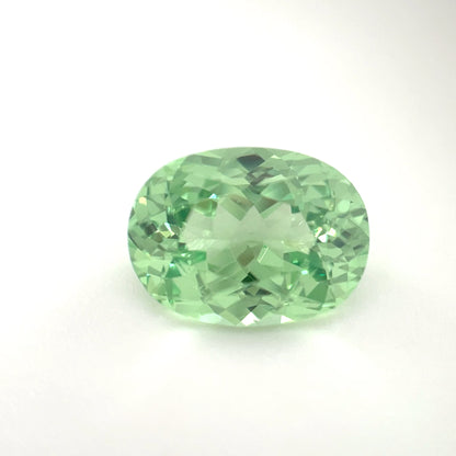 PG-82-47 Merelani Mint Garnet 8.9 x 11.9 MM Oval