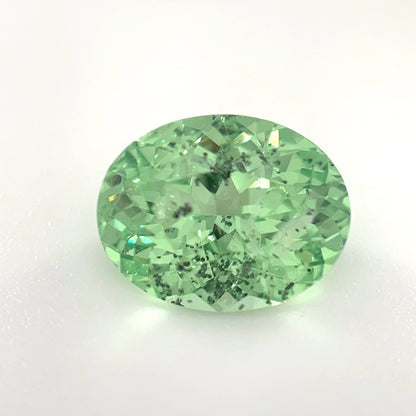 PG-97-66 Merelani Mint Garnet 8.1 x 10.5 MM Oval