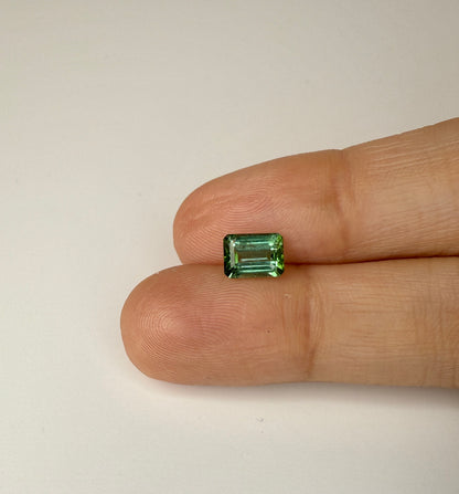 PG-JLP1-56-WOX Tourmaline 5.2 x 7 MM Emerald 1.11cts
