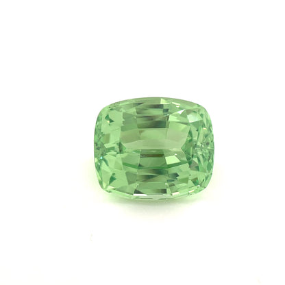 PG-MMGBS-119 Mint Garnet 9  x 10.5 MM Cushion