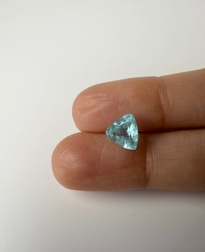 PG-PBTRBS-3  Paraiba 8 MM Trilliant 1.49cts