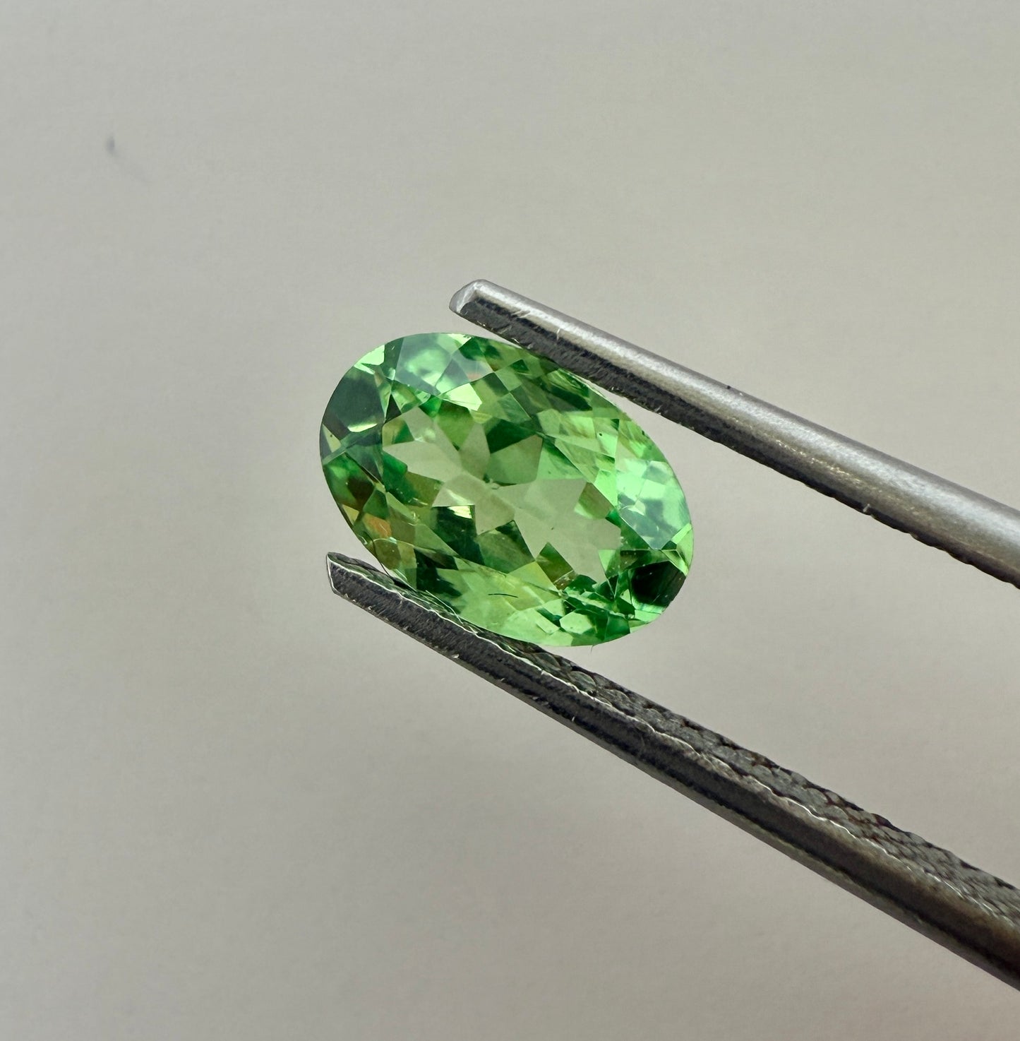 PG-PM1-12 Tsavorite 5.2 x 7.7 MM Oval 1.05cts