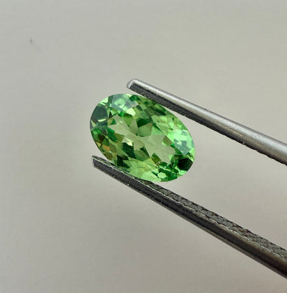 PG-PM1-12 Tsavorite 5.2 x 7.7 MM Oval 1.05cts