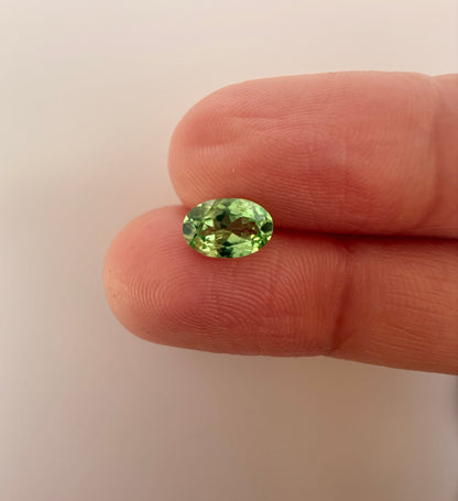 PG-PM1-12 Tsavorite 5.2 x 7.7 MM Oval 1.05cts