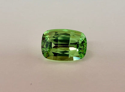PG-T1004-27 Tsavorite 5 x 7.2 MM Cushion 0.98cts