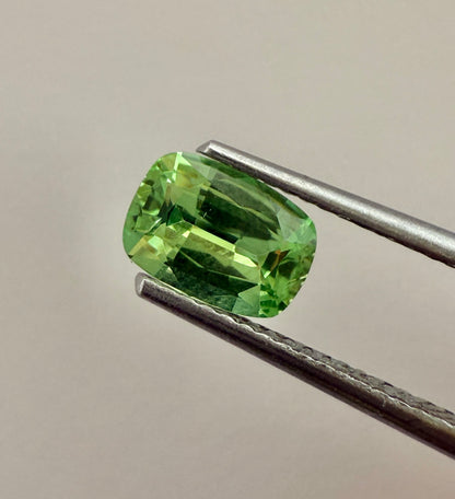 PG-T1004-27 Tsavorite 5 x 7.2 MM Cushion 0.98cts