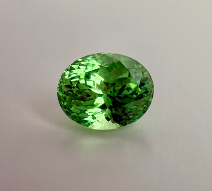 PG-T102-25 Tsavorite 6.3 x 7.9 MM Oval 2.07cts