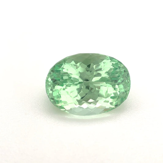 PG-315R-29 Merelani Mint Garnet 8 x 10.8 MM Oval