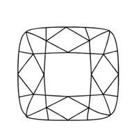 Cushion
