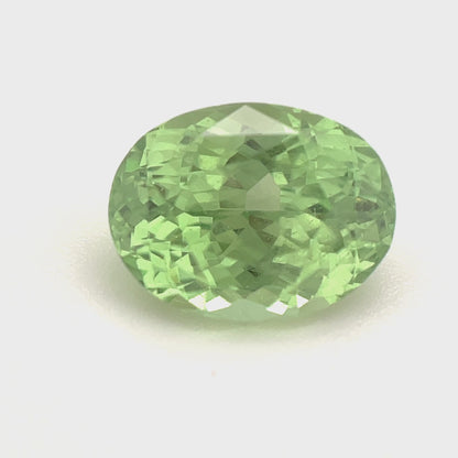 PG-MMG-46 Merelani Mint Garnet 7.5 x 9.8 MM Oval