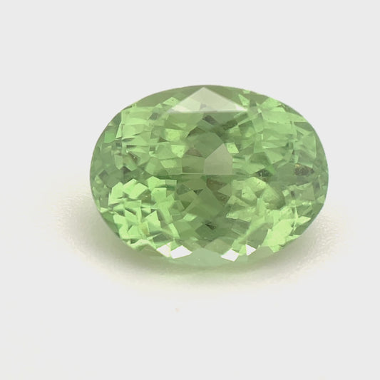 PG-MMG-46 Merelani Mint Garnet 7.5 x 9.8 MM Oval