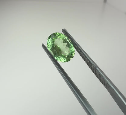 PG10-15-5 Tourmaline 6.2 x 8.3 MM Oval 1.56cts