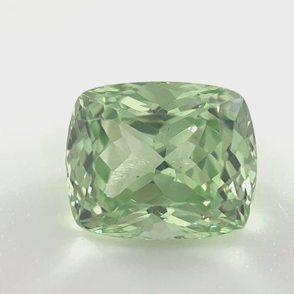 PG-311-10-1 Merelani Mint Garnet 7.3 x 8.8 MM Cushion
