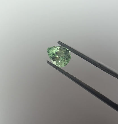 PG-152-28-1 Merelani Mint Garnet 5.5 x 7 MM Pear 1.08cts