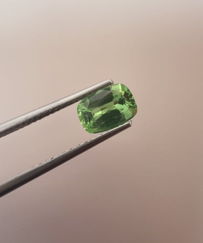 PG-T1004-27 Tsavorite 5 x 7.2 MM Cushion 0.98cts
